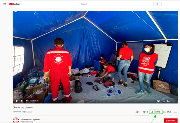 1video_en