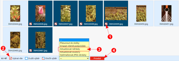 Hromadné operace s náhledy.