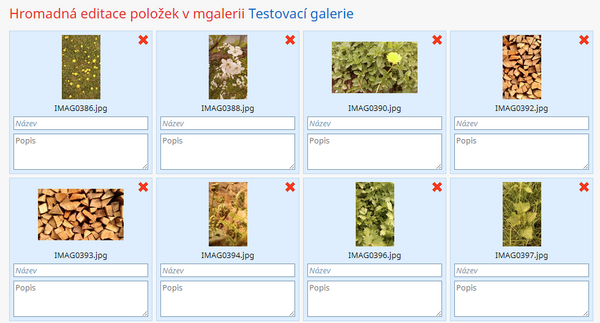Hromadná úprava fotografií.